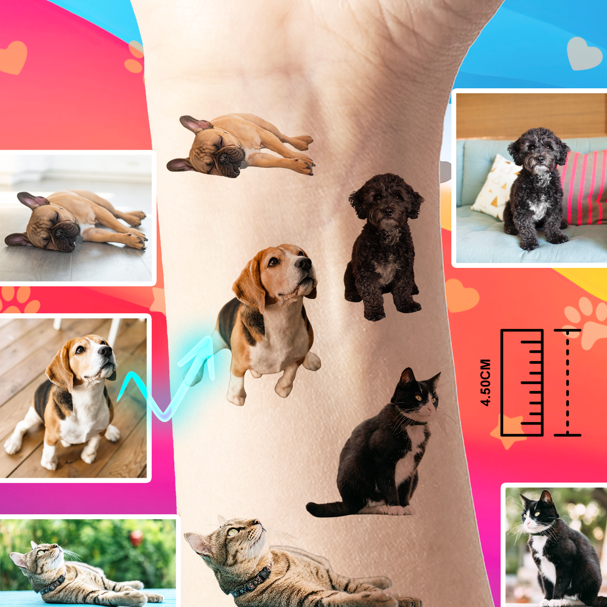 Tatouages Éphémères Personnalisés à Partir de Photos d'animaux (Lot de 24)